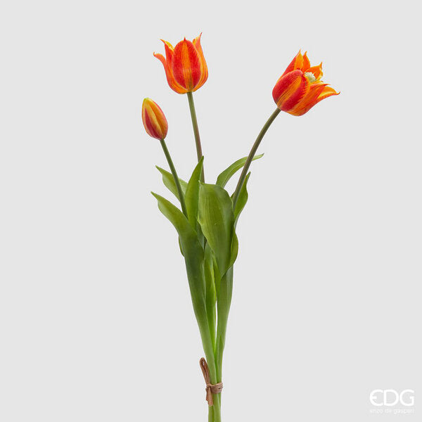 immagine-1-edg-enzo-de-gasperi-tulipano-gomma-olis-aperto-3pz-h48-c4-orange